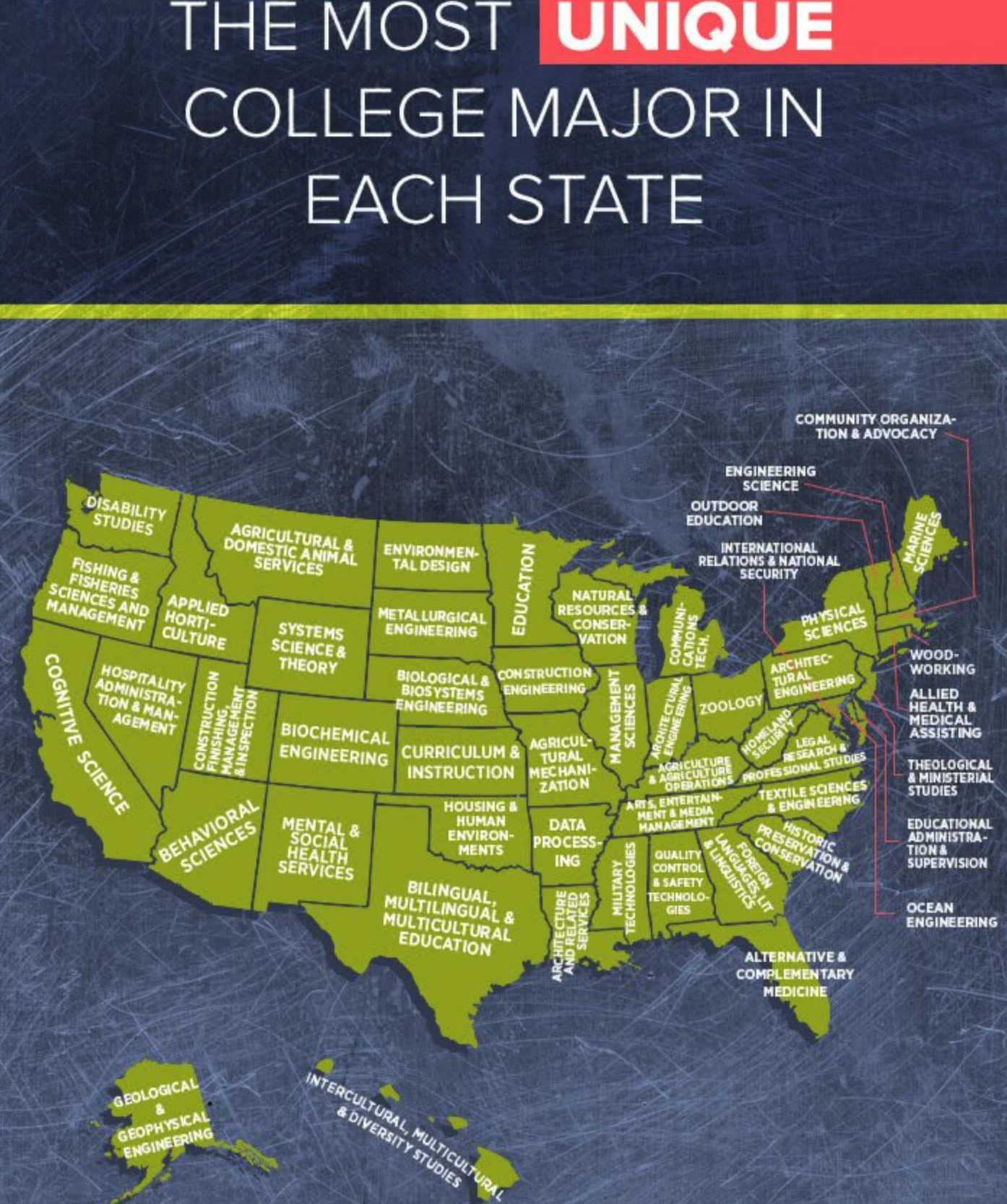 The Most Popular Majors by State- Gen Z